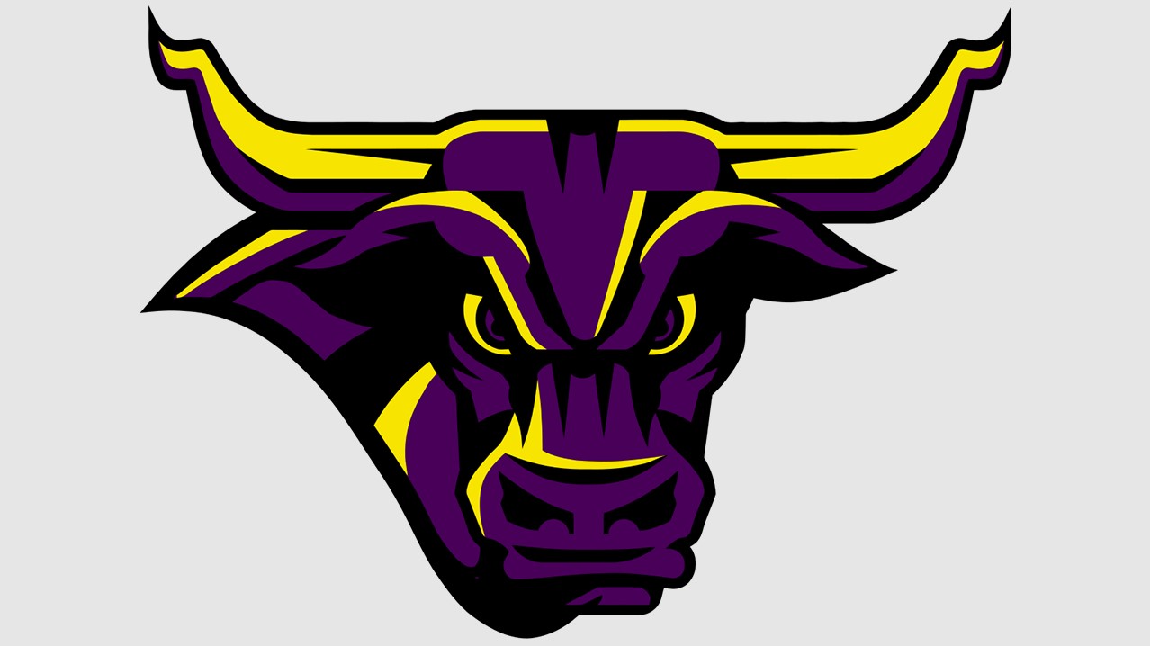 Minnesota State Mavericks logo